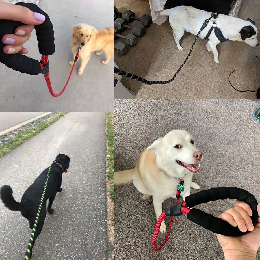 Reflective Heavy Duty Dog Leash with Padded Handle Durable Nylon Rope Leashes