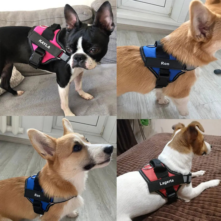 Adjustable Reflective Dog Harness Custom with Vest ID Patch