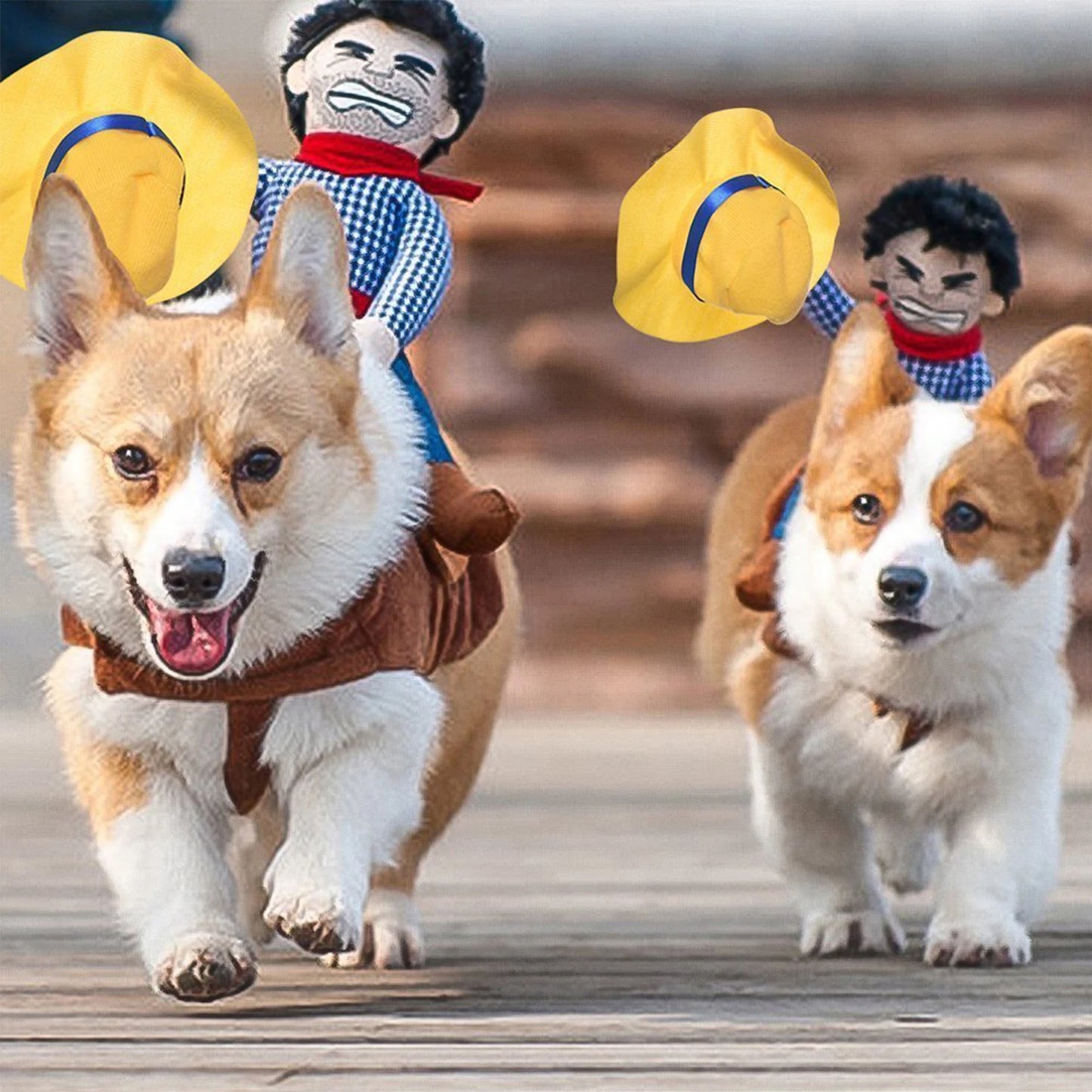 Dog Cowboy Outfit/Halloween Costume With Loop Fasteners