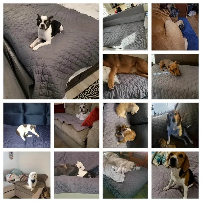 Double-Sided Waterproof Bed Cover Furniture Protector For Dogs