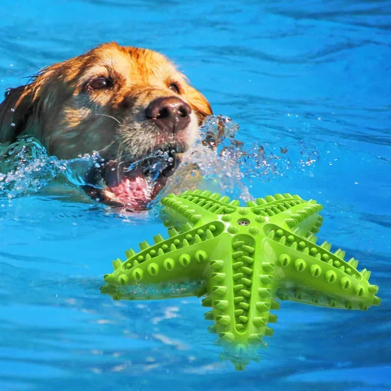 Interactive Rubber Toys For Pet Teeth Oral Cleaning