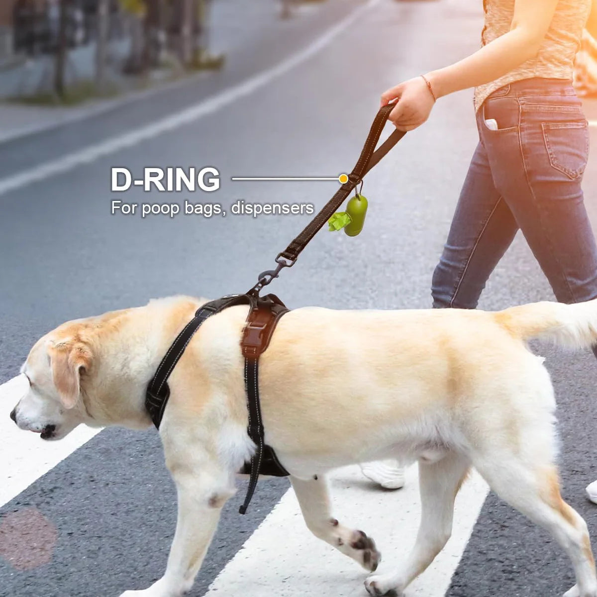 Short Dog Leash, Heavy Duty Short Nylon Dog Lead For Training Control