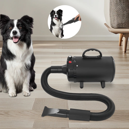 2200W Professional Pet Dryer, Low Noise