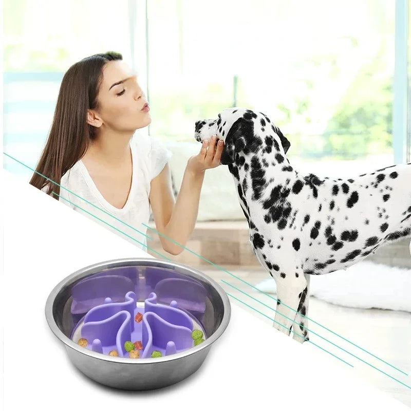 Spiral Slow Pet Feeder Strong Silicone Product