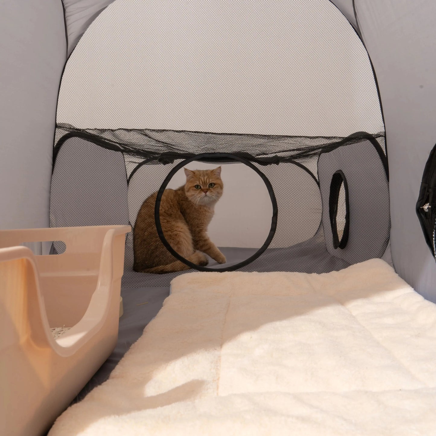 Cats and Dogs Hard Oxford Cloth with a Play Tunnel Foldable