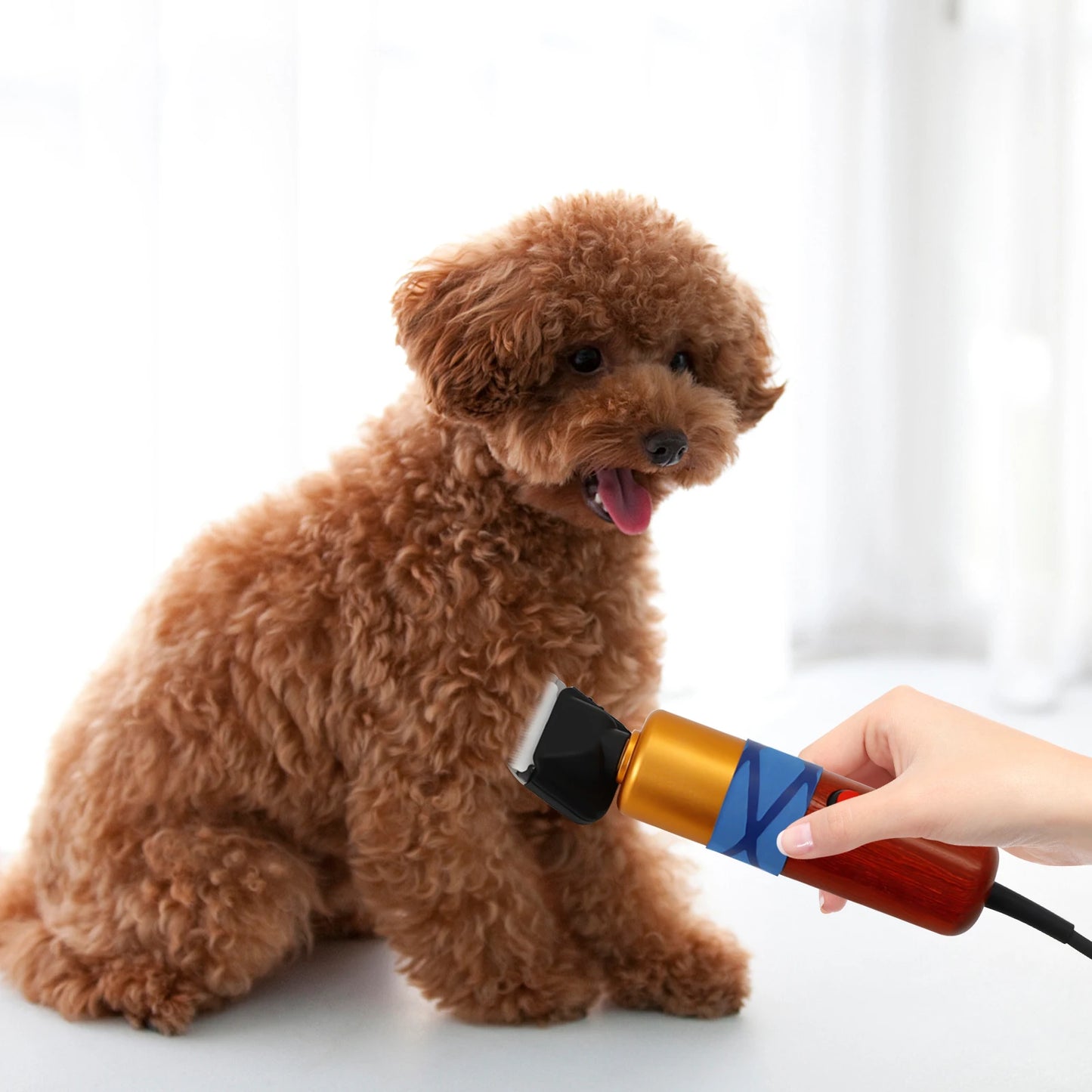 Low Noise High Effiecieny Pet & Sheep Trimmer