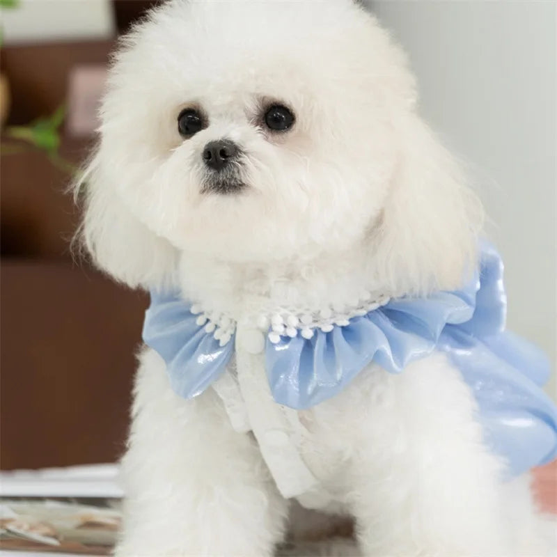 Adorable Tutu Dress with Bowknot Lace Princess Puppy Clothes/Female Cat Skirt