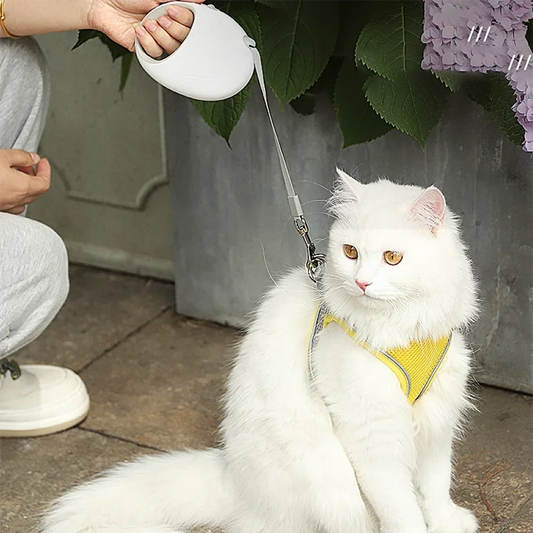 Retractable 3M/5M Durable Dog Leash