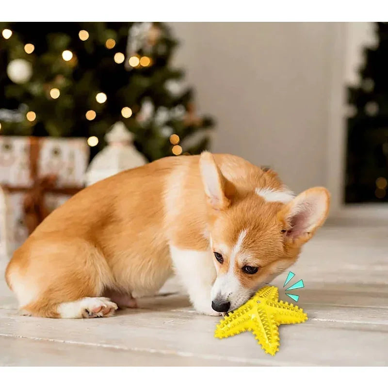 Interactive Rubber Toys For Pet Teeth Oral Cleaning