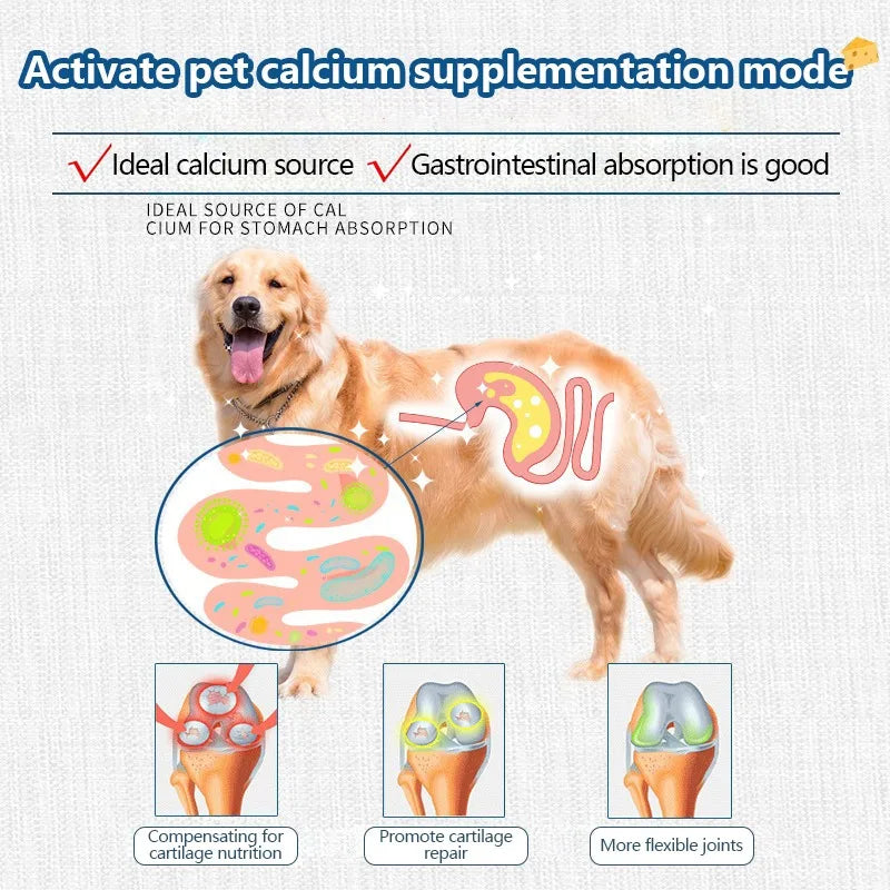 Freeze-dried High Calcium Cheese Snacks Aid Digestion