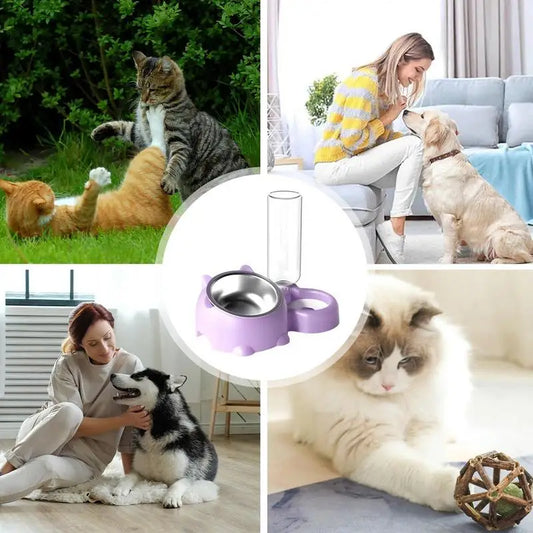Double Dog/Cat Water and Food Bowls Automatic Water Bottle