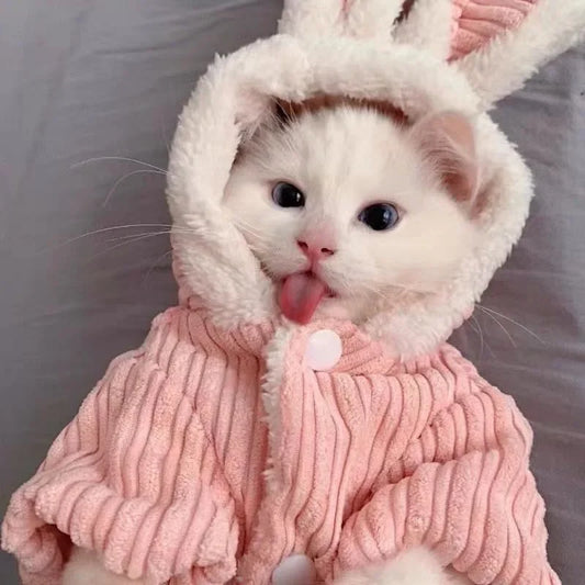 Warm Winter Coat for Kittens/Puppies Cute Bunny Appearance