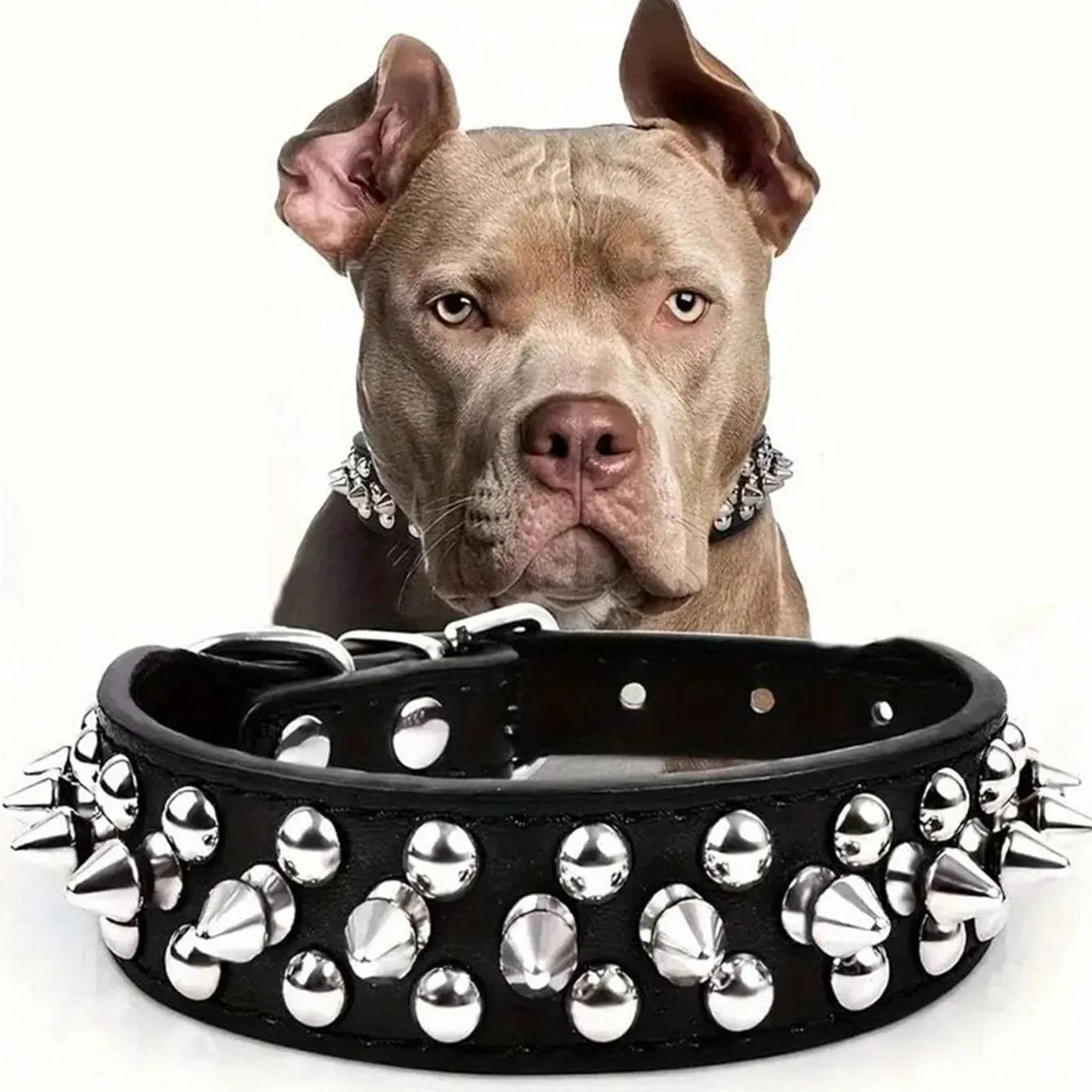 Adjustable rivet collar, anti-bite neck protection collar, durable PU leather and rust resistant metal rivets