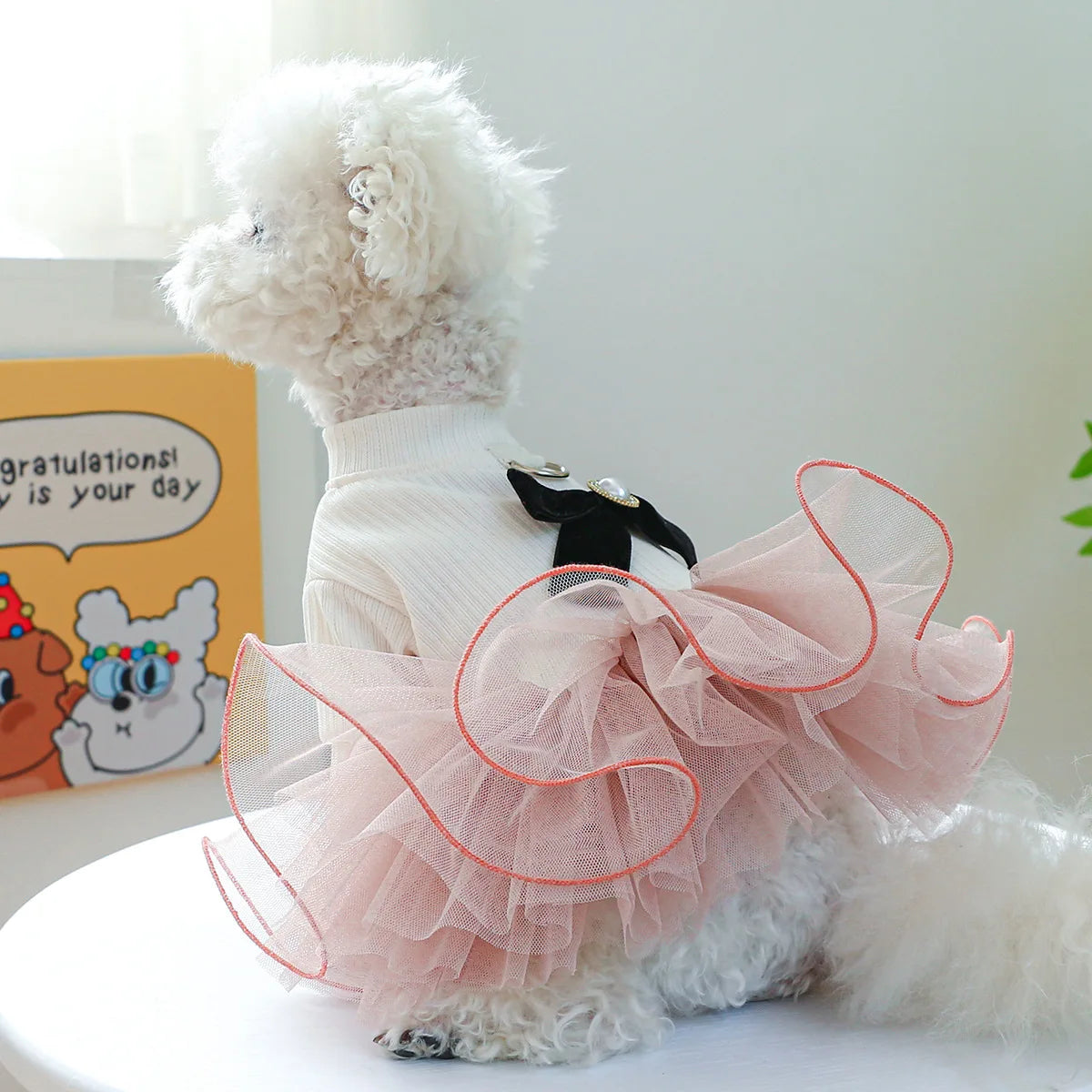 Spring/Summer Tutu Princess Dress Printed Lace Dog Skirt