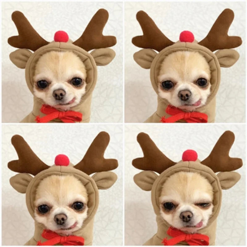Winter Hoodie Sweater for Cats/Dog Pullover Sweatshirt Pets Clothing Costume