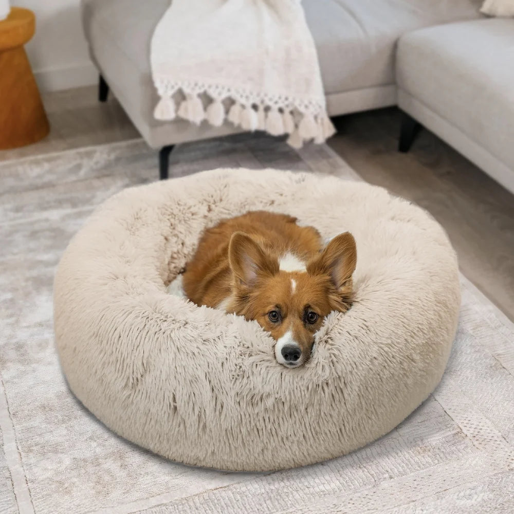 Calming Orthopedic Support Donut Cuddler Pet Bed with Throw Blanket