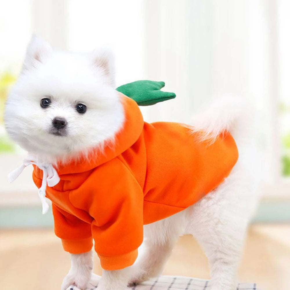 Cute Fruit Dog Clothes for Small Dogs Hoodies Warm Fleece