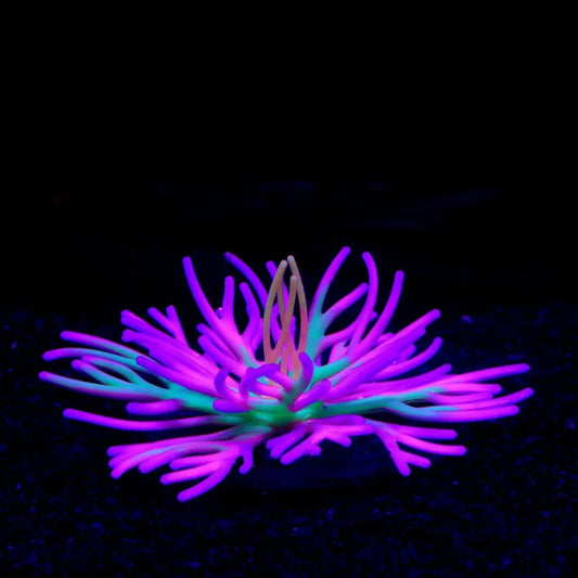 Aquarium Scenery Sea Water Fish Tank Decoration