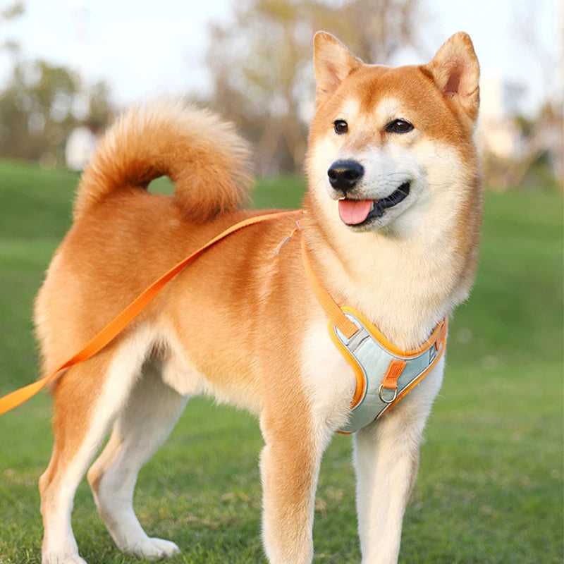 Adjustable Dog Harness and Leash for Small Dogs/Cat Reflective Breathable