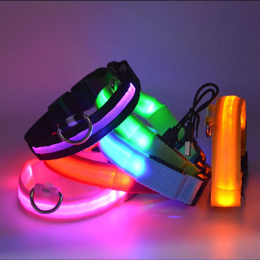 Nylon LED Night Safety Flashing Glow In The Dark Dog Leash