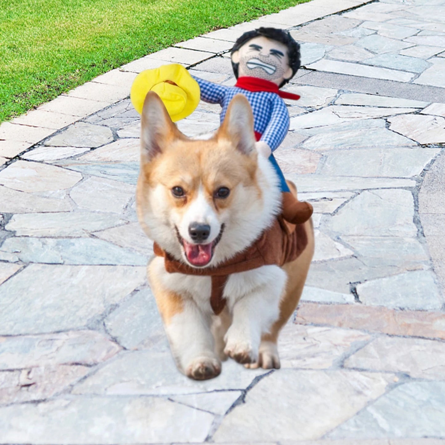 Dog Cowboy Outfit/Halloween Costume With Loop Fasteners