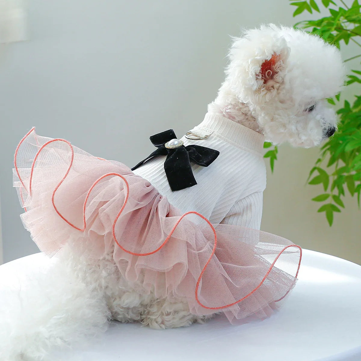 Spring/Summer Tutu Princess Dress Printed Lace Dog Skirt
