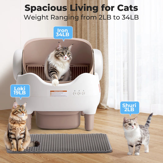 Automatic Cat Litter Box with APP Control, Odor-Free Large Waste Bin, Open-Top for Multi Cats