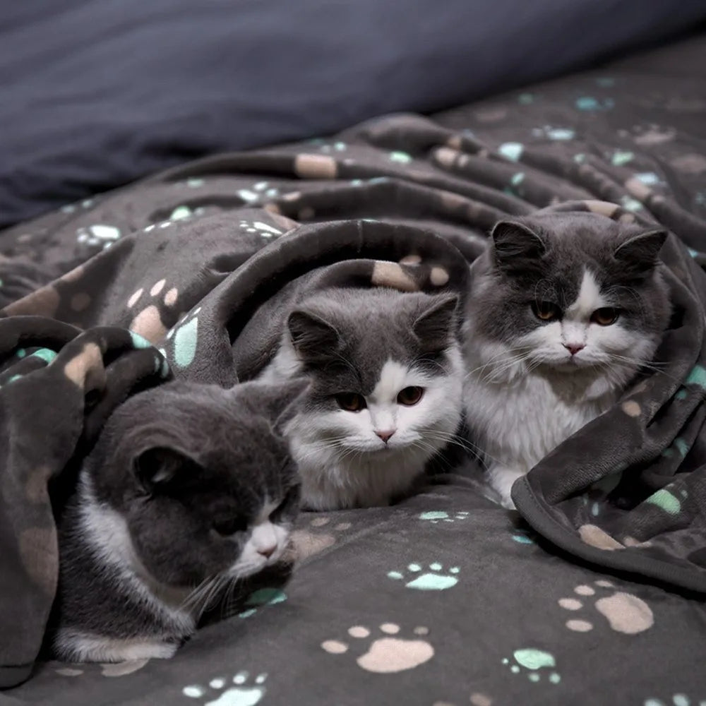 Black Soft Thick Pet Blanket, Double-sided Pattern