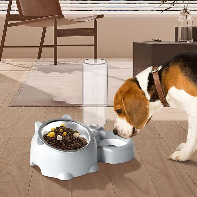 Double Dog/Cat Water and Food Bowls Automatic Water Bottle