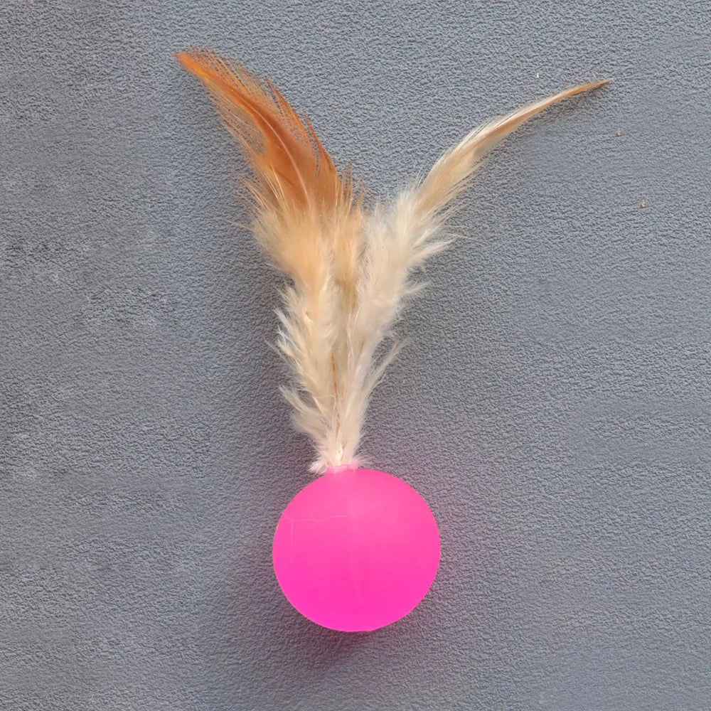 5pcs Funny Elastic Ball Interactive Toy Feather Football Toys