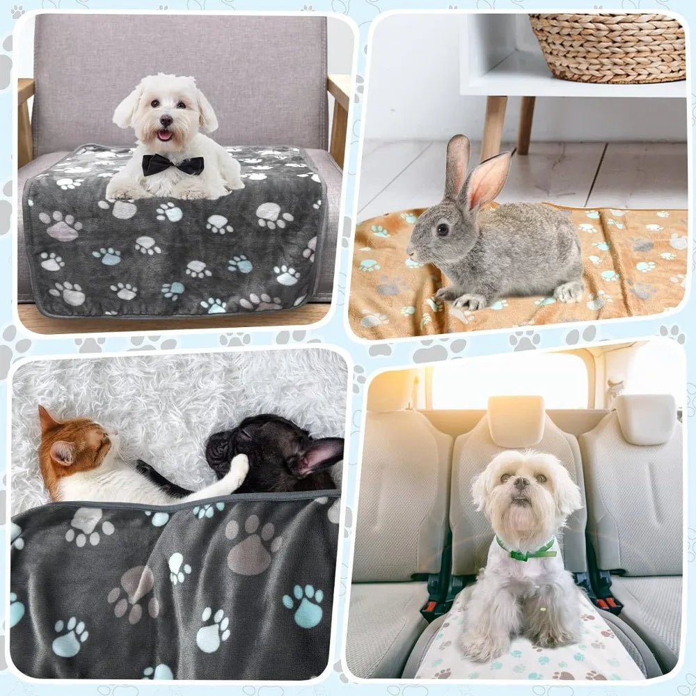 Black Soft Thick Pet Blanket, Double-sided Pattern