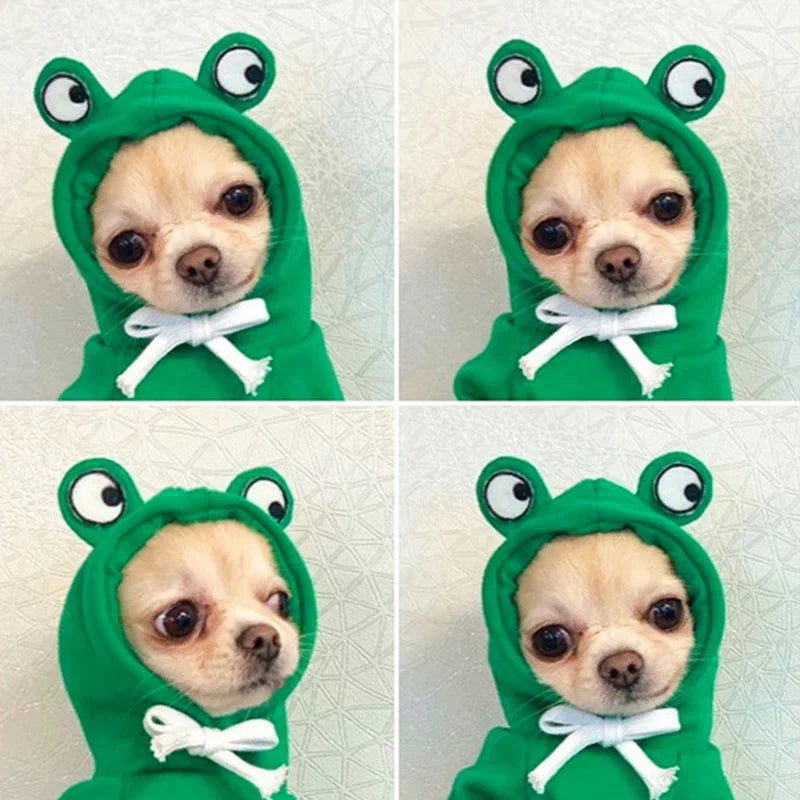 Winter Hoodie Sweater for Cats/Dog Pullover Sweatshirt Pets Clothing Costume