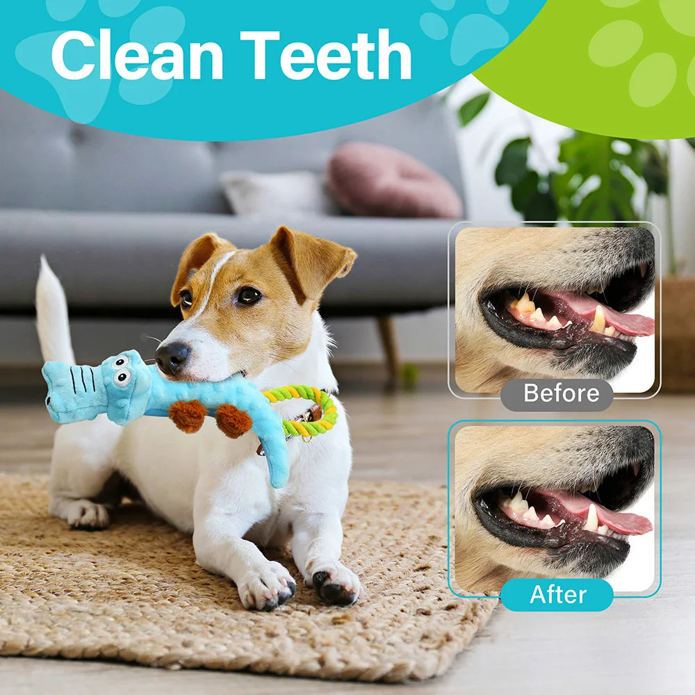 Tug of War Dog Toys Interactive Plush Puppy Squeaky Chew Toy