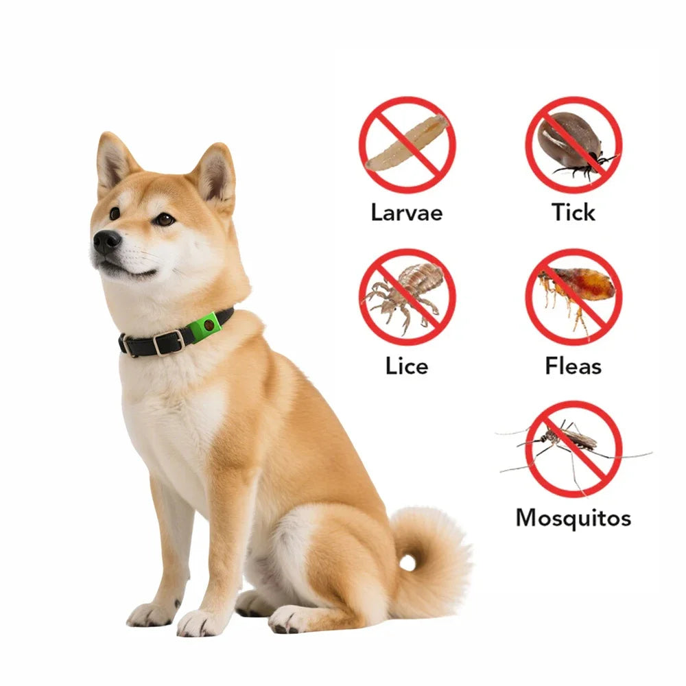 Natural Anti - Flea & Tick Essential Oil Pendant Safe Collar to Repel Pests