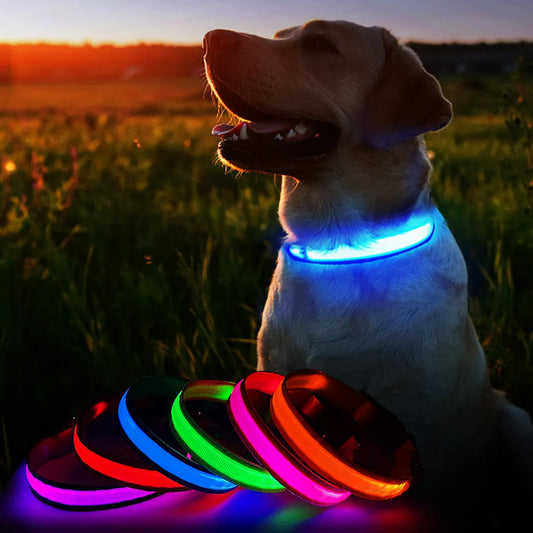 LED Luminous Dog Collar, Flashing Safety Glow Necklace