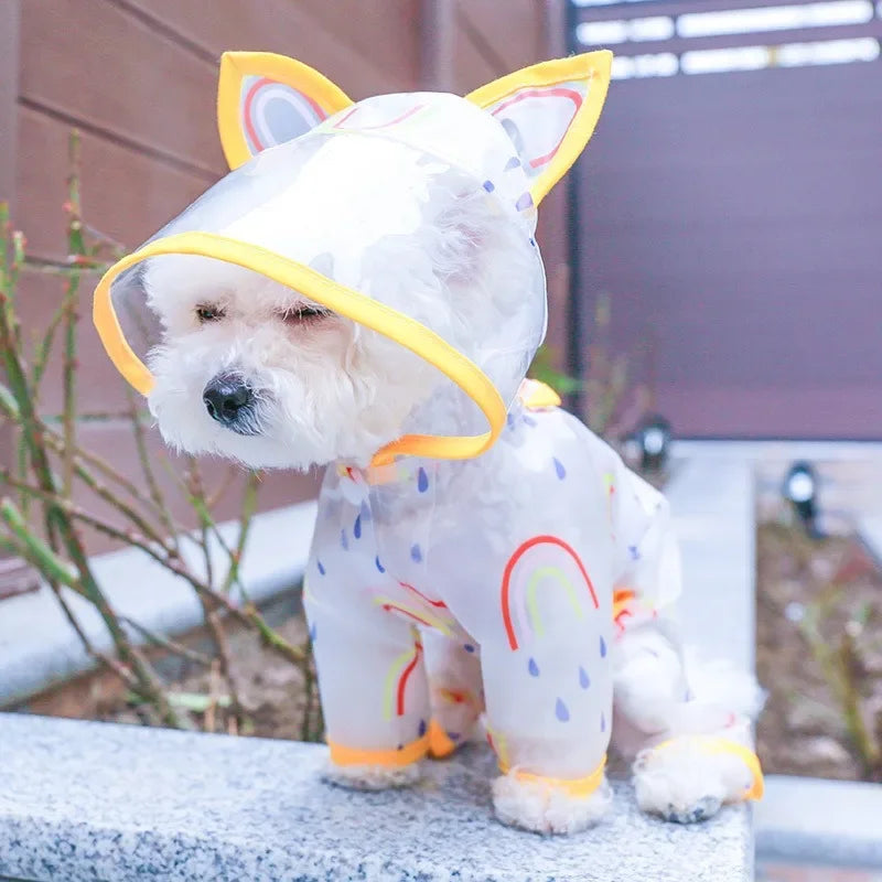 Hooded Waterproof Raincoat Small Clothing Pieces
