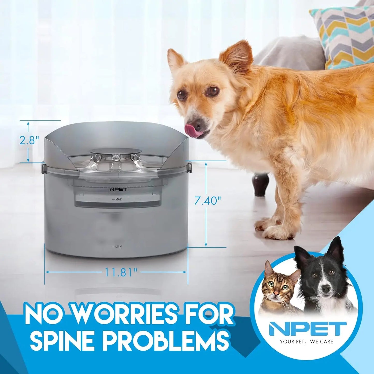 Automatic Water Fountain with Splatter Guard for Large Dogs