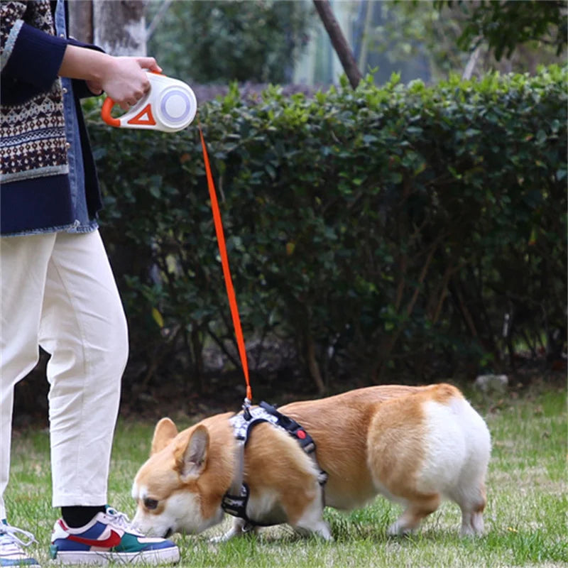 5M Automatic Retractable Dog Leash with Led Flashlight