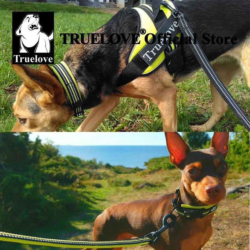 Reflective Nylon Collar Adjustable for Heavy Duty Training