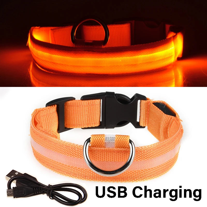 Nylon LED Night Safety Flashing Glow In The Dark Dog Leash