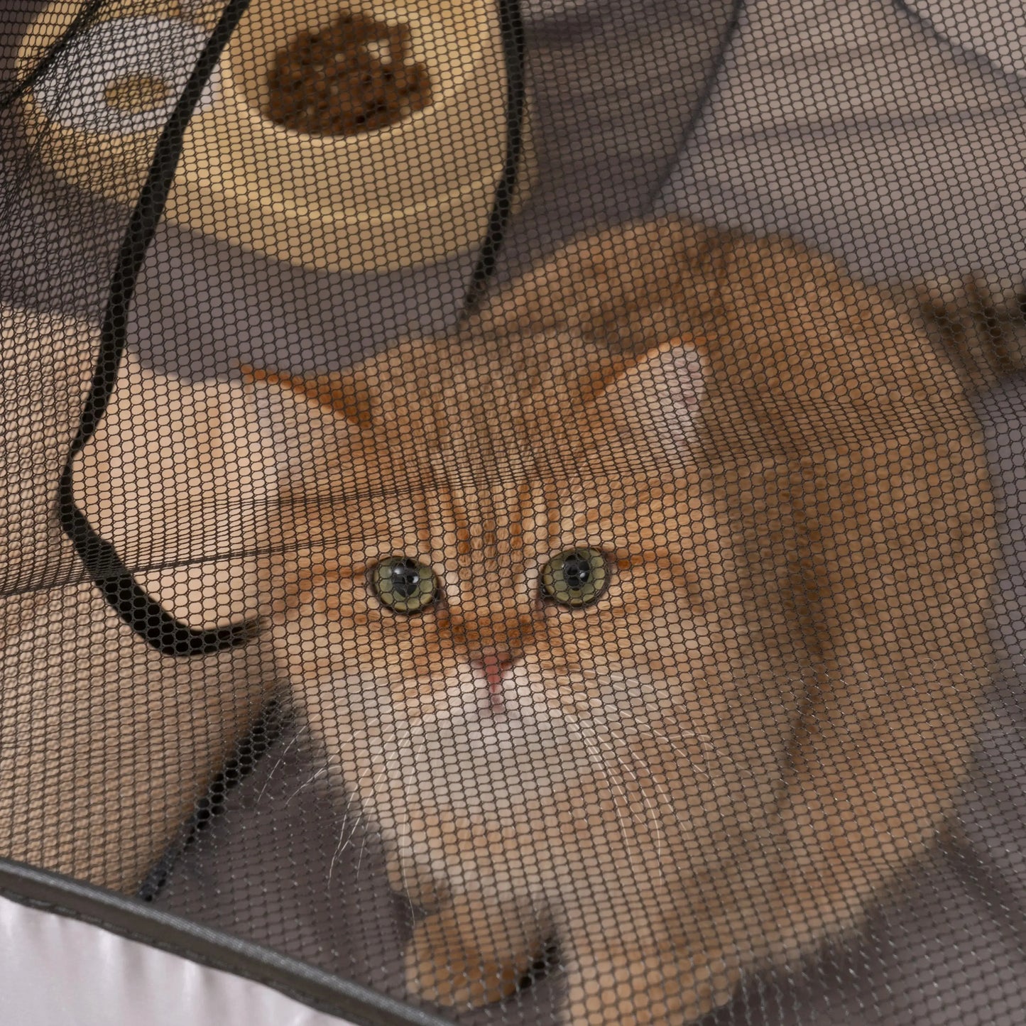 Cats and Dogs Hard Oxford Cloth with a Play Tunnel Foldable