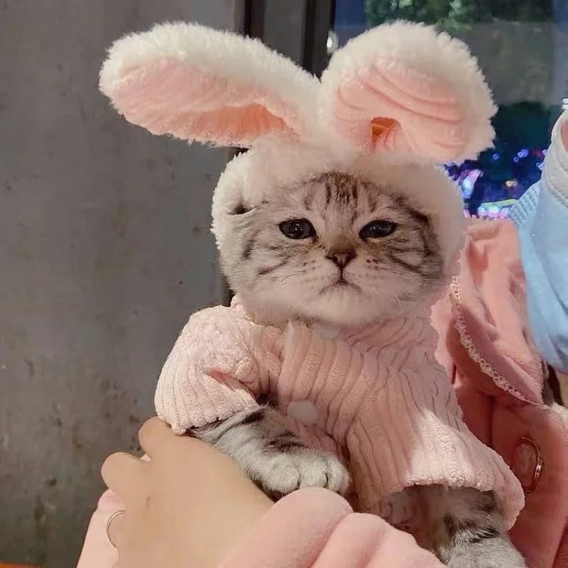 Warm Winter Coat for Kittens/Puppies Cute Bunny Appearance