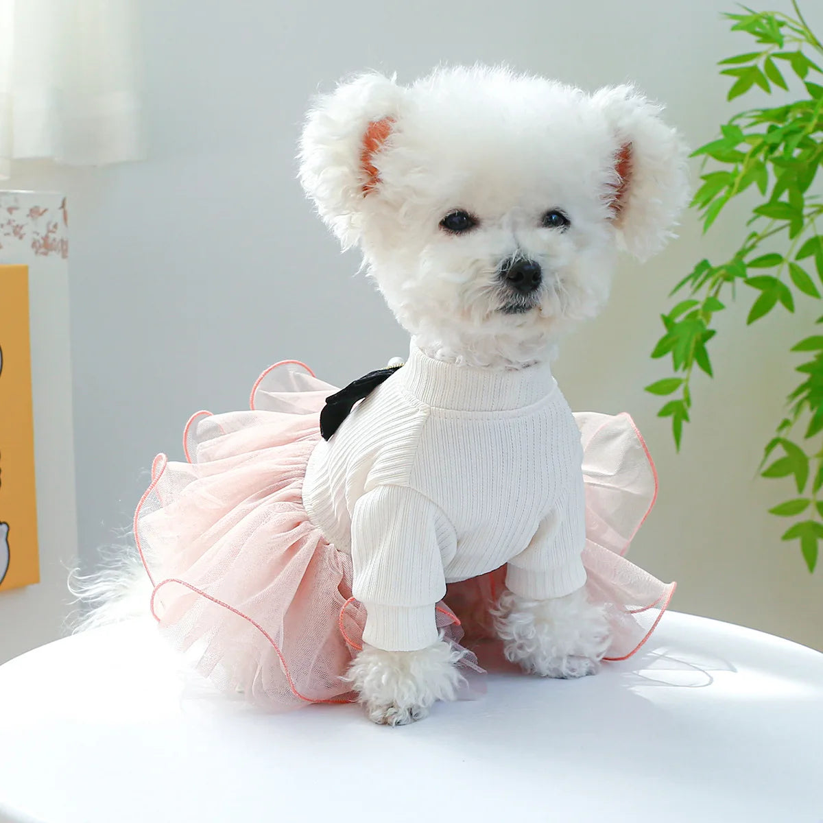 Spring/Summer Tutu Princess Dress Printed Lace Dog Skirt