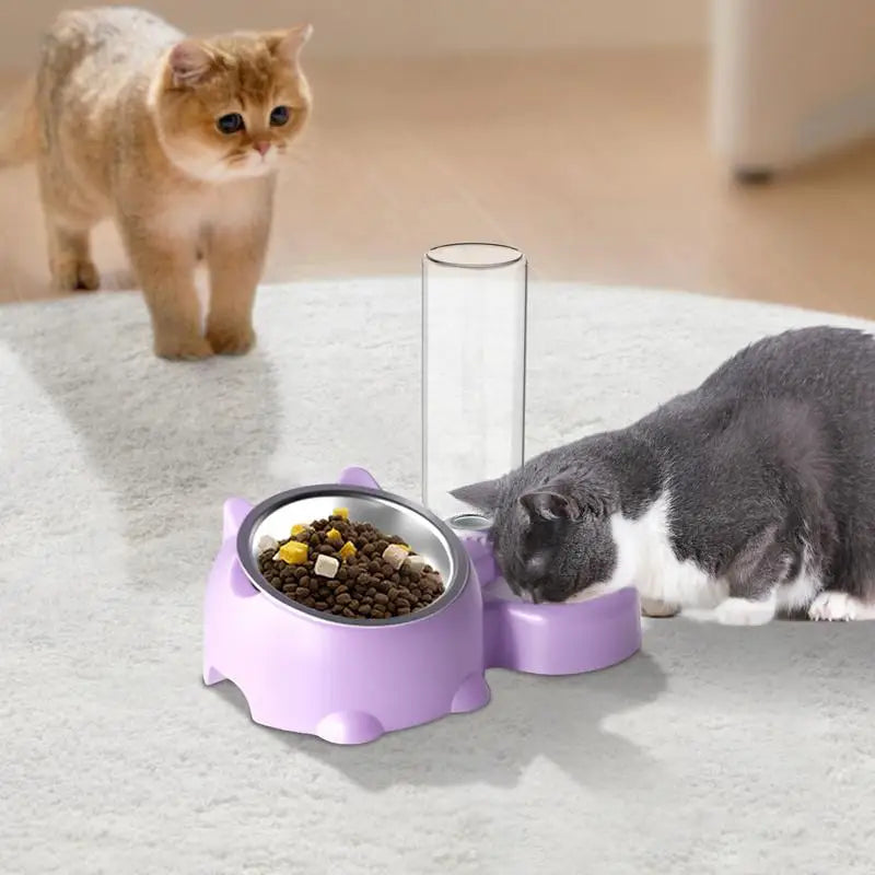 Double Dog/Cat Water and Food Bowls Automatic Water Bottle