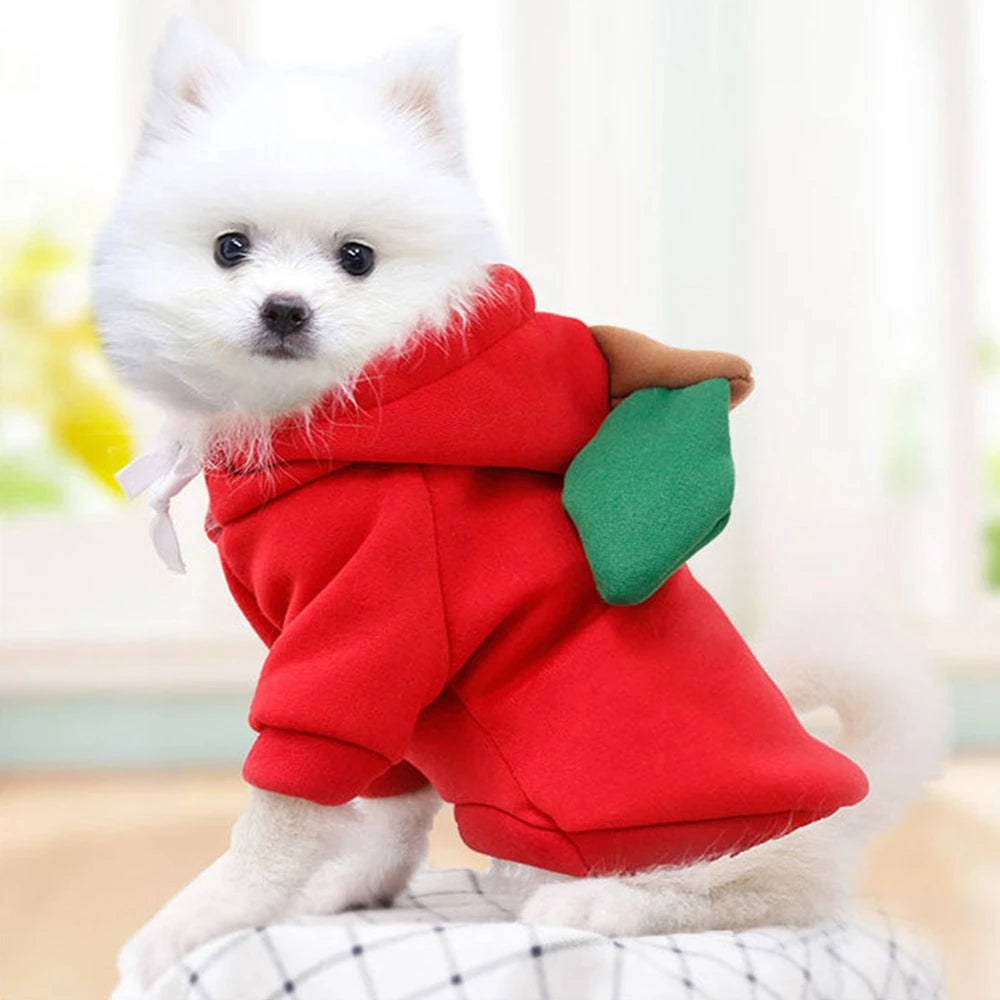 Cute Fruit Dog Clothes for Small Dogs Hoodies Warm Fleece