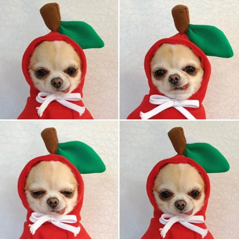 Winter Hoodie Sweater for Cats/Dog Pullover Sweatshirt Pets Clothing Costume