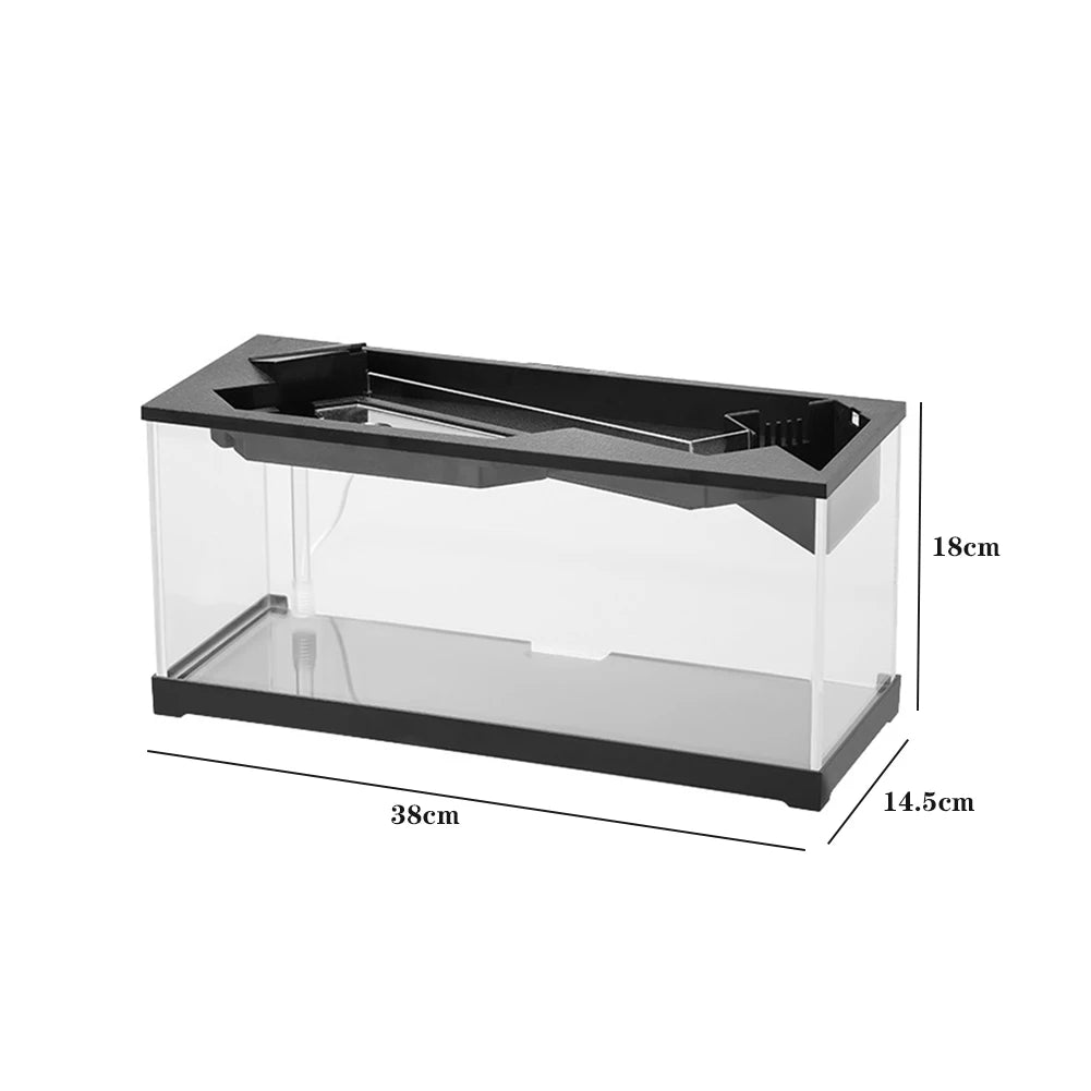 High Transparency Fish Tanks Desktop Decor with Pump + Light