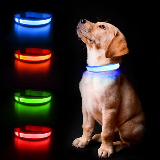 LED Luminous Dog Collar, Flashing Safety Glow Necklace