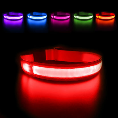 LED Luminous Dog Collar, Flashing Safety Glow Necklace