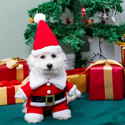 Pet Christmas suit, Christmas hat,